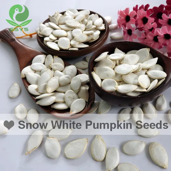 Dried Pumpkin Seeds Snow White