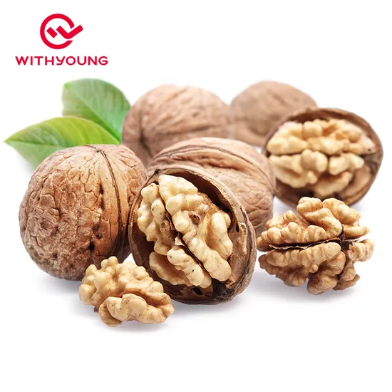 High Quality 185 Raw Walnut with Shell From Xinjiang