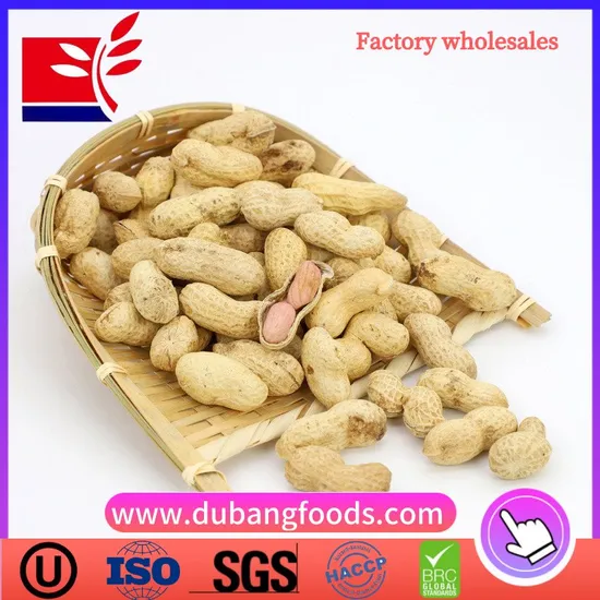 Peanut Inshell 9/11 for Food From China with 2020 New Crop