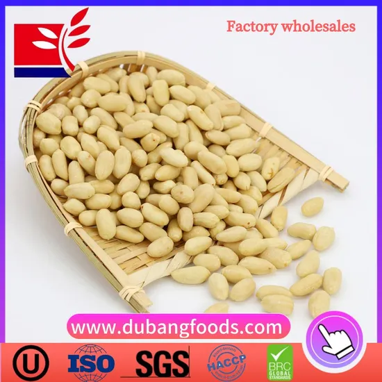 Blanched Peanut Kernels Long Shape From China