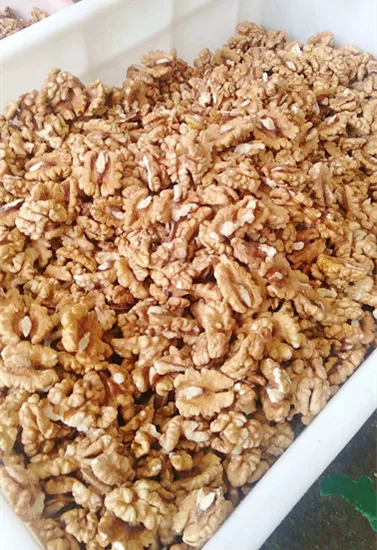 China Walnut Factory Wholesale Price Bulk Shelled Walnuts and Walnut Kernels