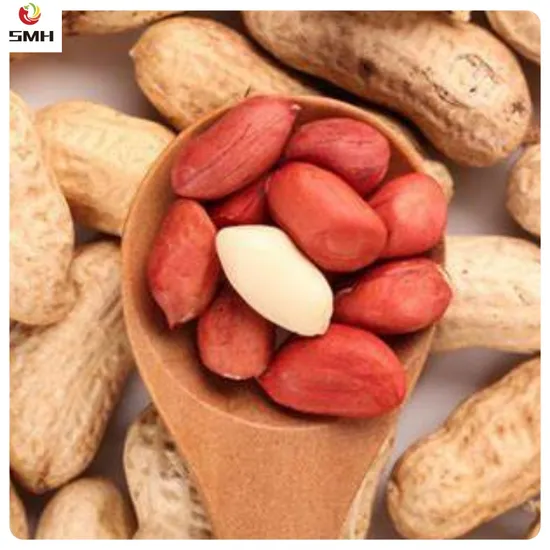Raw Red Skin Peanut Kernels/Premium Quality/ China 50/60