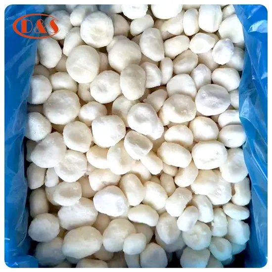 IQF Chinese Water Chestnut Frozen Chinese Water Chestnut