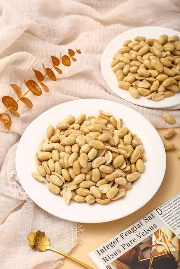 Salted and Crispy Peanuts