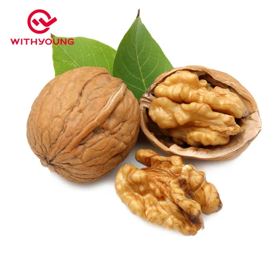 Excellent Quality Thin-Skin Raw Dried 33 Walnut with Shell