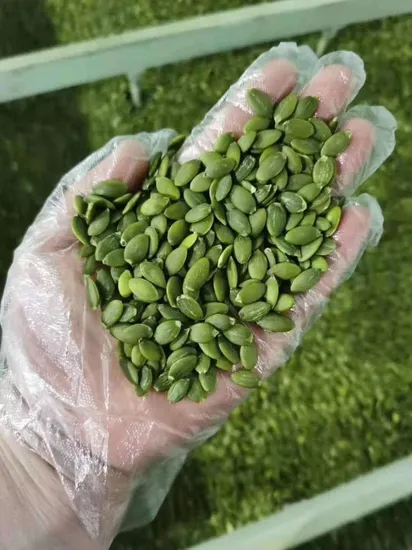 Wholesale Good Price Pumpkin / Sunflower / Water Melon Seeds and Kernels AA