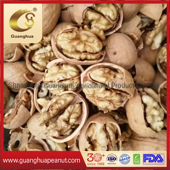 Organic Chinese Walnut 185 Walnut X2 Walnut