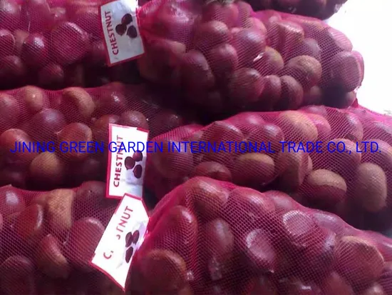 2022 New Season Wholesale Healthy Chinese Fresh and Delicious Chestnut