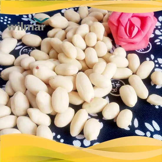 Splendid Red Skin Peanuts From China: 46/56 for Peanut Butter and Human Consumption.