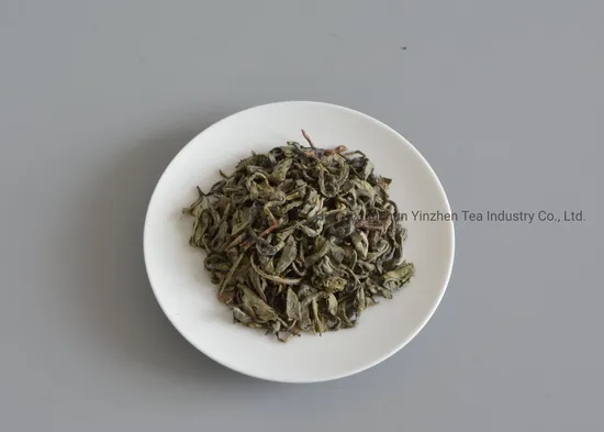 China Green Tea Special Chunmee Op Tea