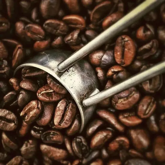 High Quality Organic Coffee Bean