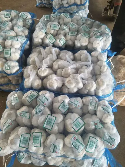 Wholesale 4.5cm 5.0cm 5.5cm 6.0cm 6.5cm 10kg Carton Normal White Fresh Garlic