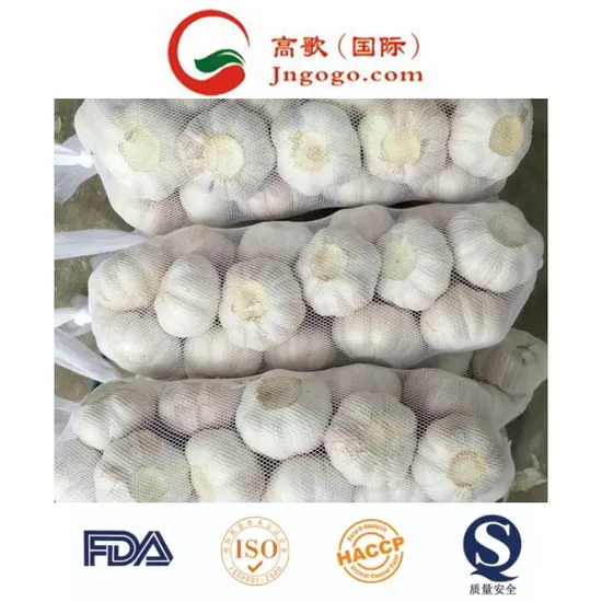New Crop Export Good Quality Normal White Garlic