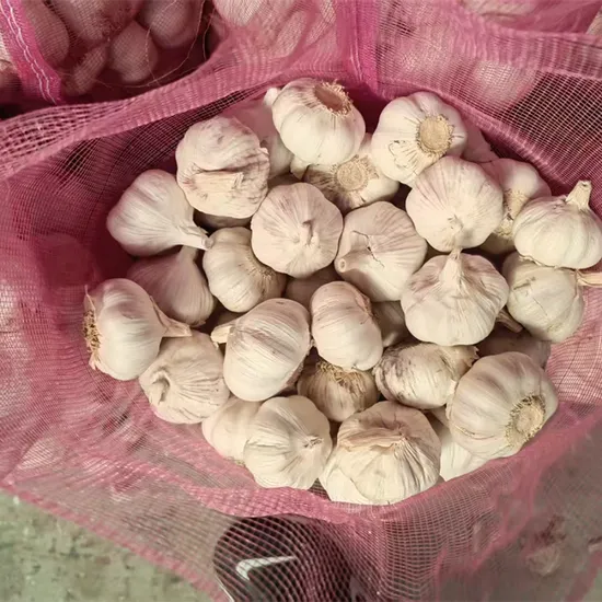 Fresh Normal Chinese New Crop Garlic with Normal Cloves for Restaurant Use