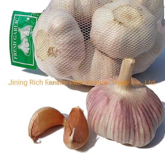 Normal White and Pure White Garlic for Sale