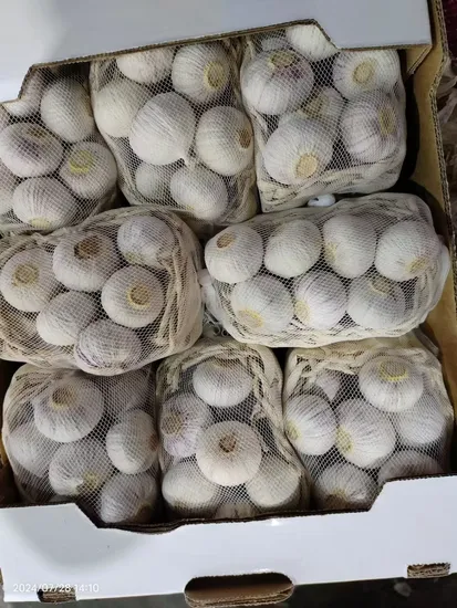 Healthy Fresh Normal Garlic 20kg Mesh Bag for Authentic Recipes