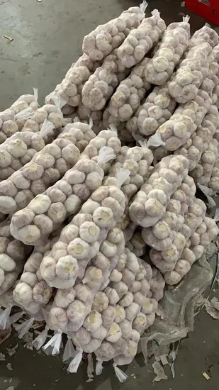 2022 High Quality China Agriculture Products New Crop Fresh Garlic 4.5cm~7.0cm Pack