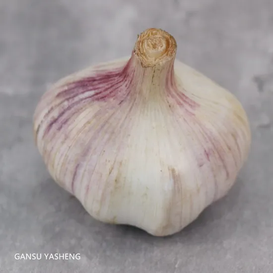 Garlic Price in China Fresh Normal White Pure Snow Product Garlic