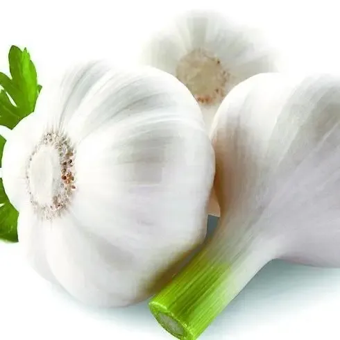 China Fresh Garlic Wholesale Prices Garlic in Bulk