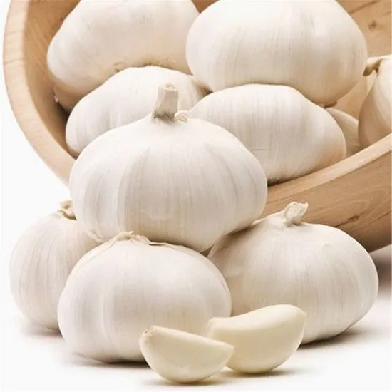 Direct Supplier for China Garlic
