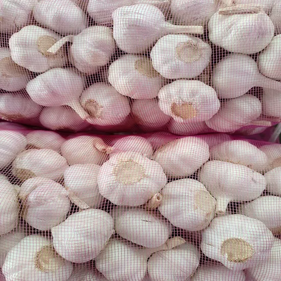 2024 New Crop Popular Pure White Garlic From Shandong Jinxiang for Export