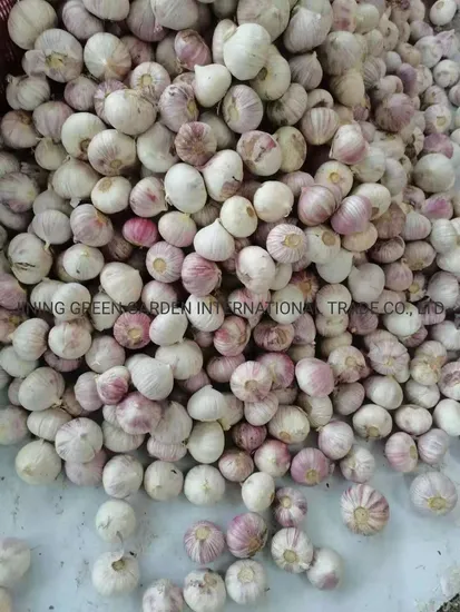 China Yunnan New Crop Single Clove, Solo Garlic