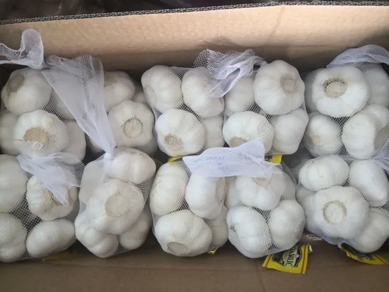Super Quality New Crop Pure White Garlic
