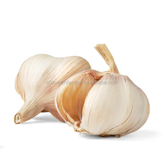 2022 Fresh New Chinese Wholesale Garlic