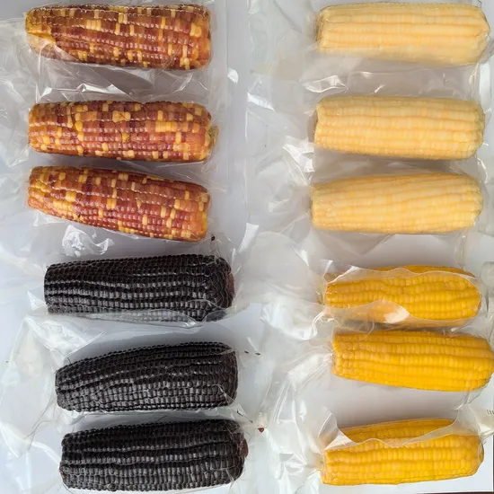 Wholesale High Quality Sweet Corn Cobs