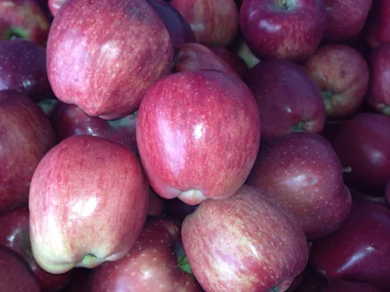 high Quality Fresh Red/FUJI/Gala/Golden/Huaniu Apple