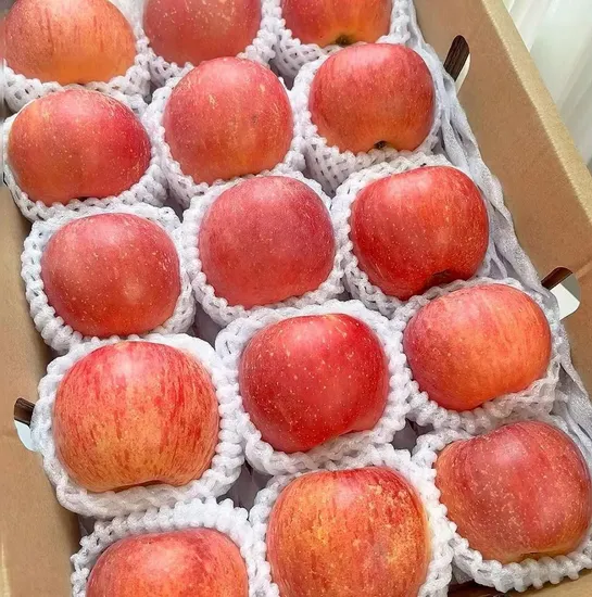 Farm Fresh Red Delicious Apples Straight From The Apple Orchard