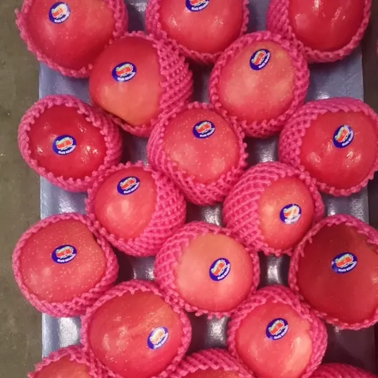 2024 New Crop Chinese Delicious Fresh FUJI Qinguan Gala Red Star Apples for Nepal