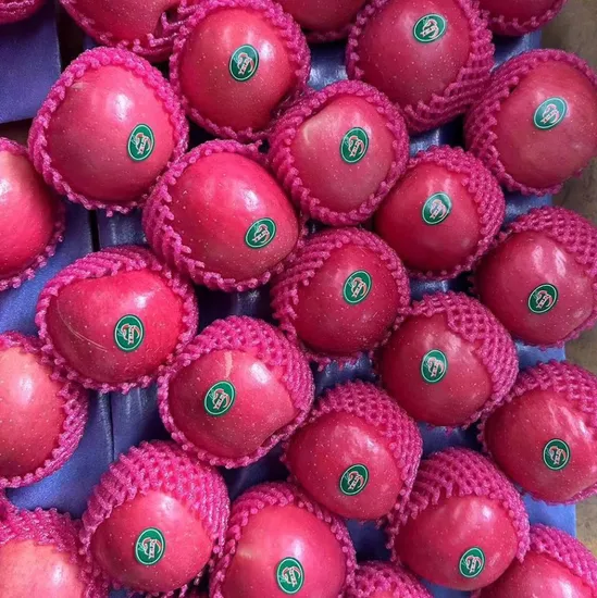 Fresh New Crop Red FUJI Qinguan Huaniu Red Star Qinguan Apples with Packing 100sizes