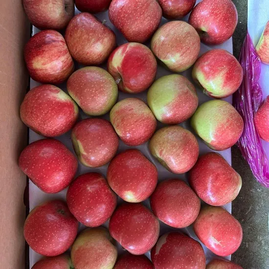 Handpicked Crisp Full Red Dallo Qinguan FUJI Huaniu Shandong Gansu Apples with 60-80PCS