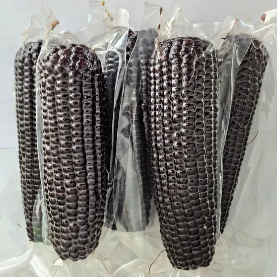 Wholesale Top Quality Black Sweet Corns