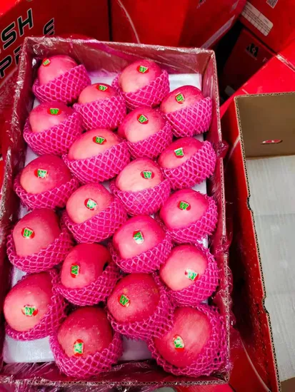 FUJI Apple Good Qaulity to Oman