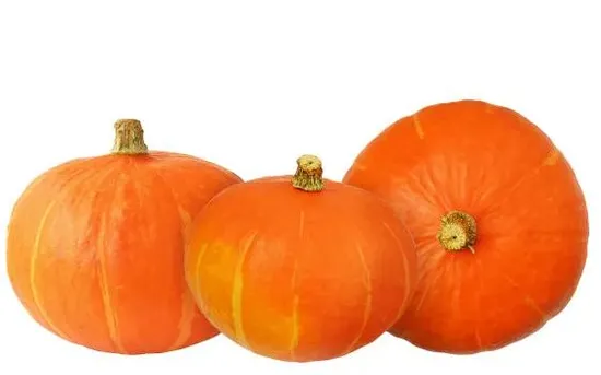 Sweet and Juicy Fresh Red and Yellow Pumpkins for Sale