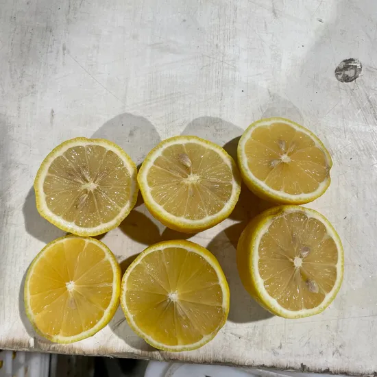 New Product Wholesales China Lemon Seedless Lime Fresh Lemon with Best Price