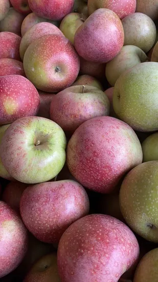 China Fresh Qinguan Apples Red Color