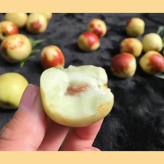 Cheap Priceendless Aftertaste Jujube Sale Winter Jujube Fresh Jujube Fruit
