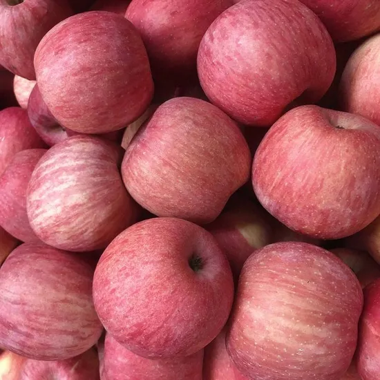 New Crop Fresh Fruit Hot Sale Dried Fruit 100% Fresh Apple