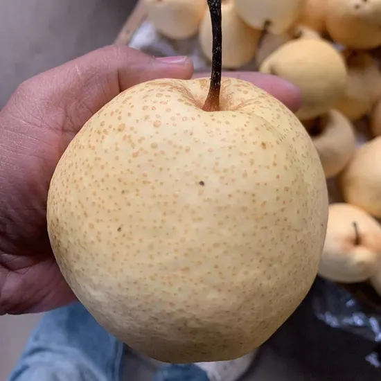 High Quality Fresh Yellow Pears Wholesale