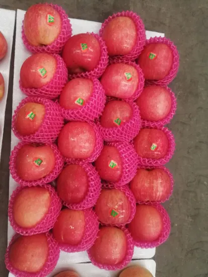 Fresh Red FUJI Apple