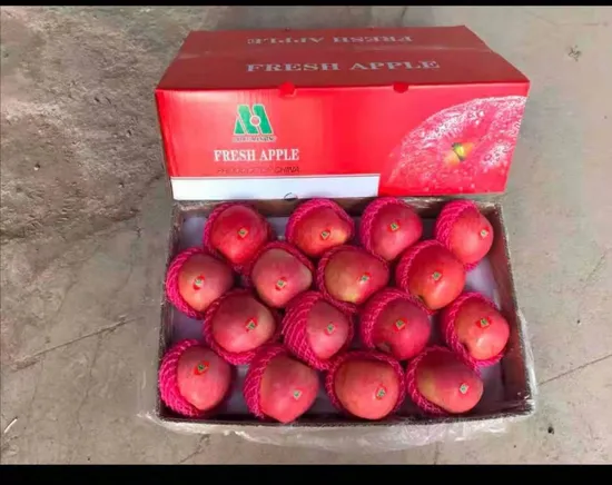 FUJI Apple for Indonesia Market Sweet FUJI Apple