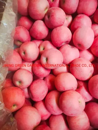 Manufacturer Price Top Quality Fresh Royal Fruit FUJI Apple