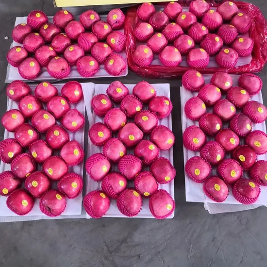 Fresh FUJI New Crop Fruit Food Vegetables for Sale Paper Bagged Apple
