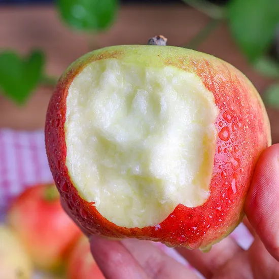 Shanxi 2023 New Crop OEM Apples High Quality Fresh Premium Gala Fruit