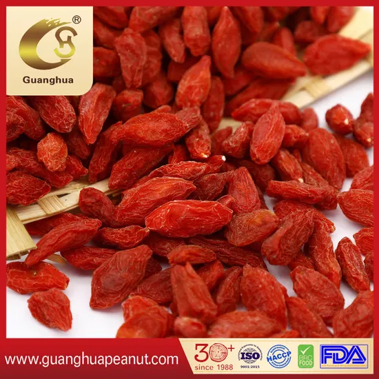 Factory Price Premium Gojiberry From Ningxia