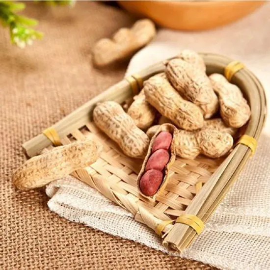 Quality Assurance Snacks Uniform Size/Manufacturer/Factory, Trading Company