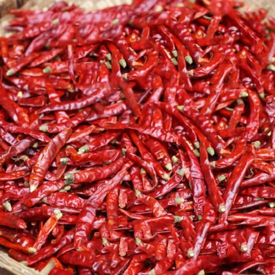 Xianfeng Dried Chilli Organic Red Pepper with/Without Stipe